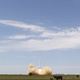 Illustration for article titled SpaceXs Falcon 9 Reusable Rocket Completes Second Test Flight